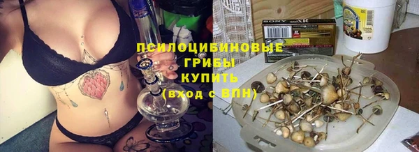 соль курить ск Михайловск