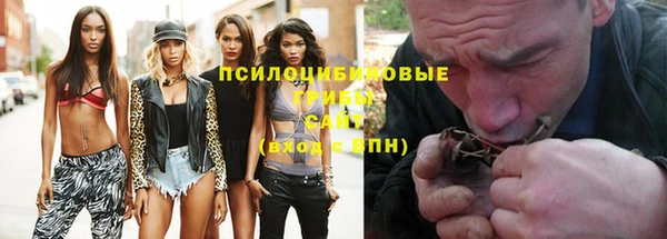 mdpv Михайлов