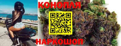 гидра Кандалакша