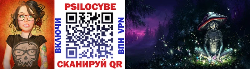 где можно купить   Невинномысск  Псилоцибиновые грибы Psilocybe 