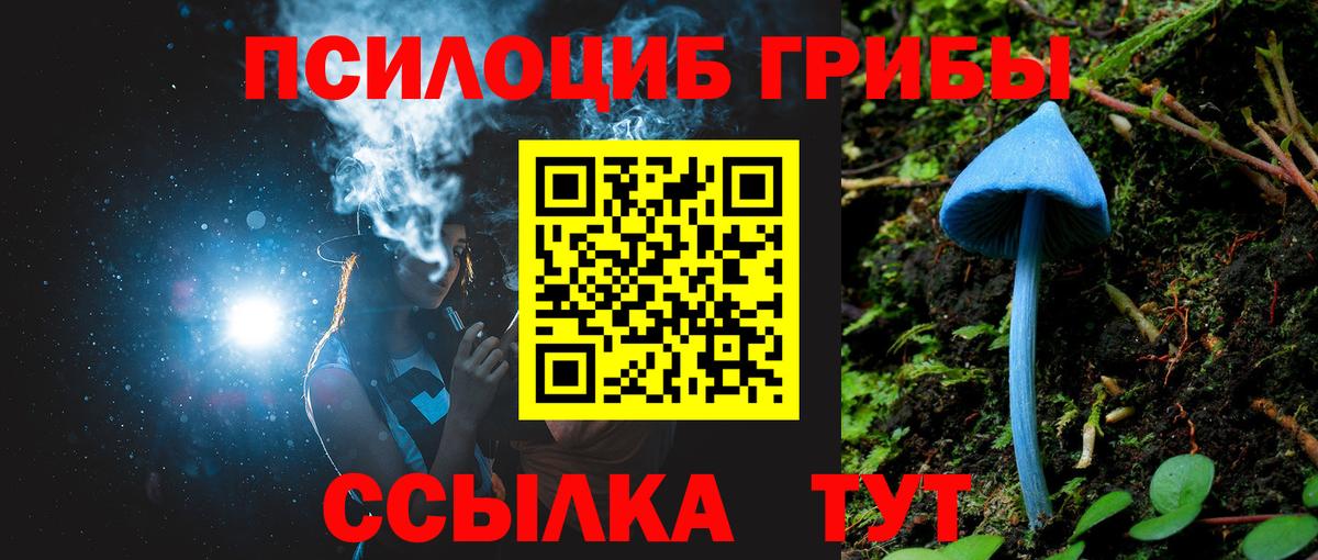 Невинномысск  Псилоцибиновые грибы прущие грибы  Галлюциногенные грибы мицелий  Вход с VPN 